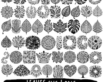 50 Leaves SVG | PNG