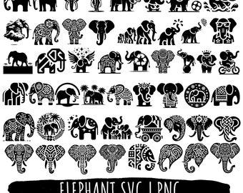 50 Elephant SVG | PNG