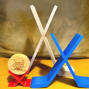 Hockey Puck Display
