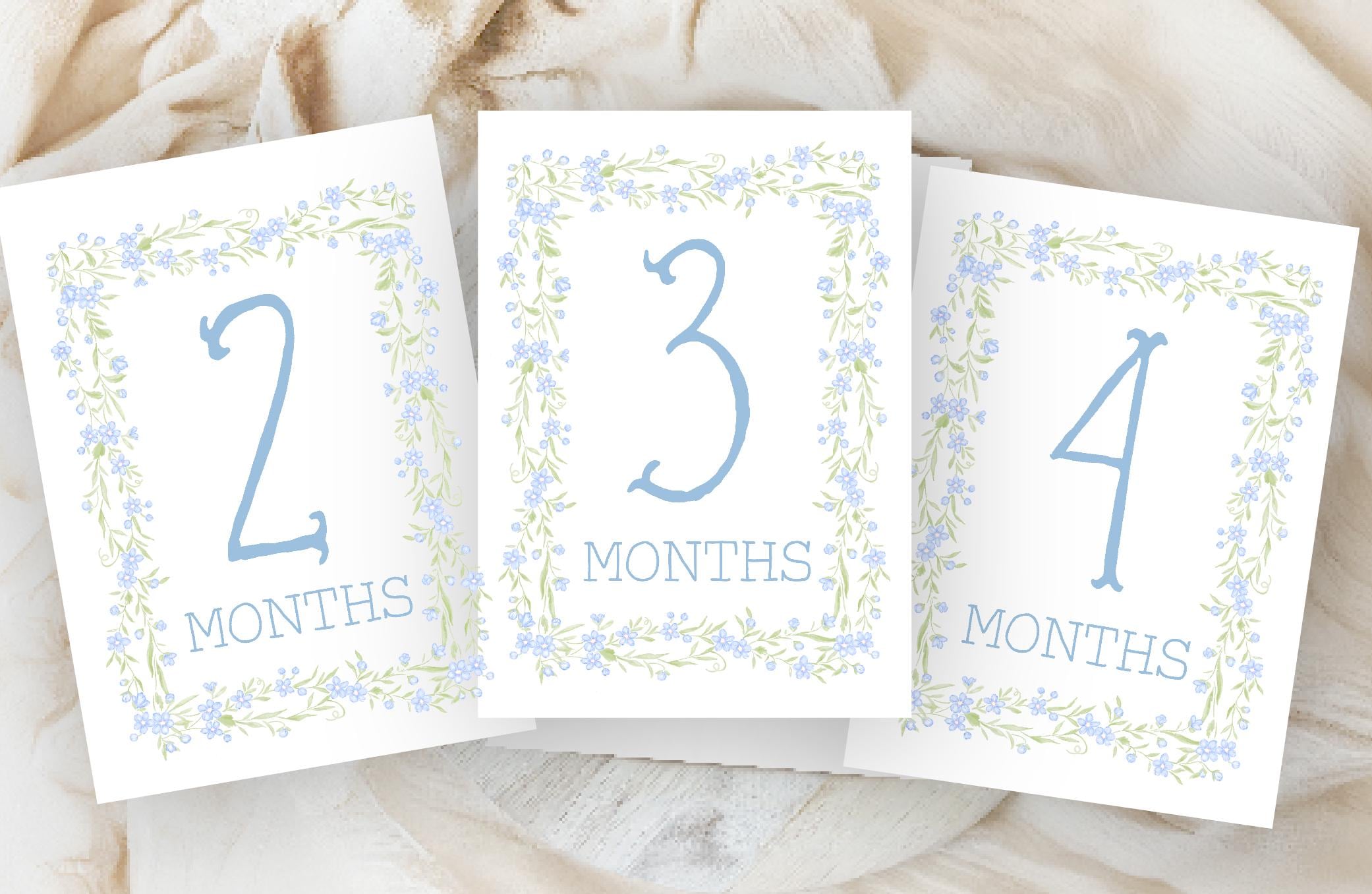Blue Monthly Milestone Cards, Southern Baby Boy Watercolor Monthly ...