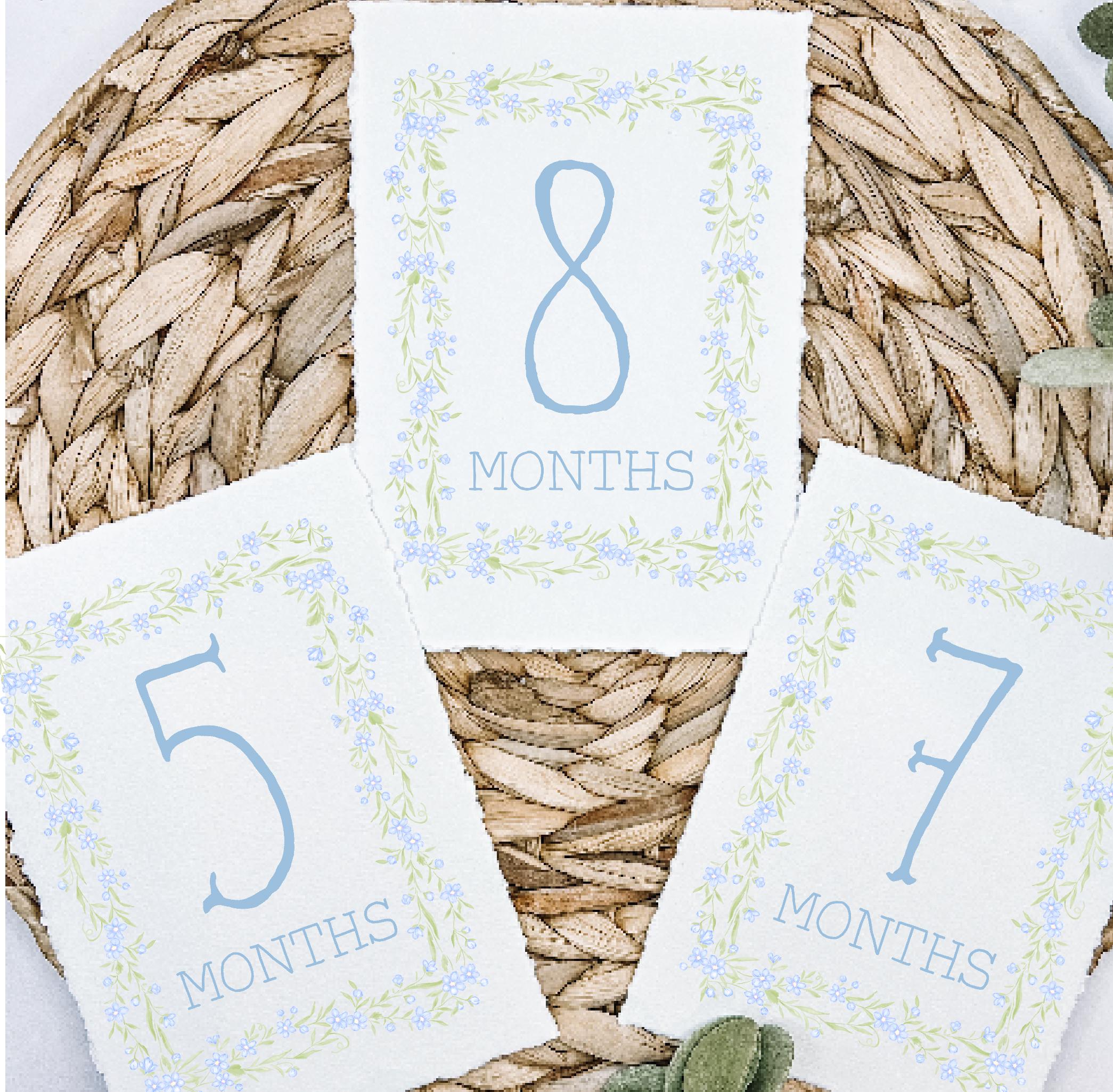 Blue Monthly Milestone Cards, Southern Baby Boy Watercolor Monthly ...