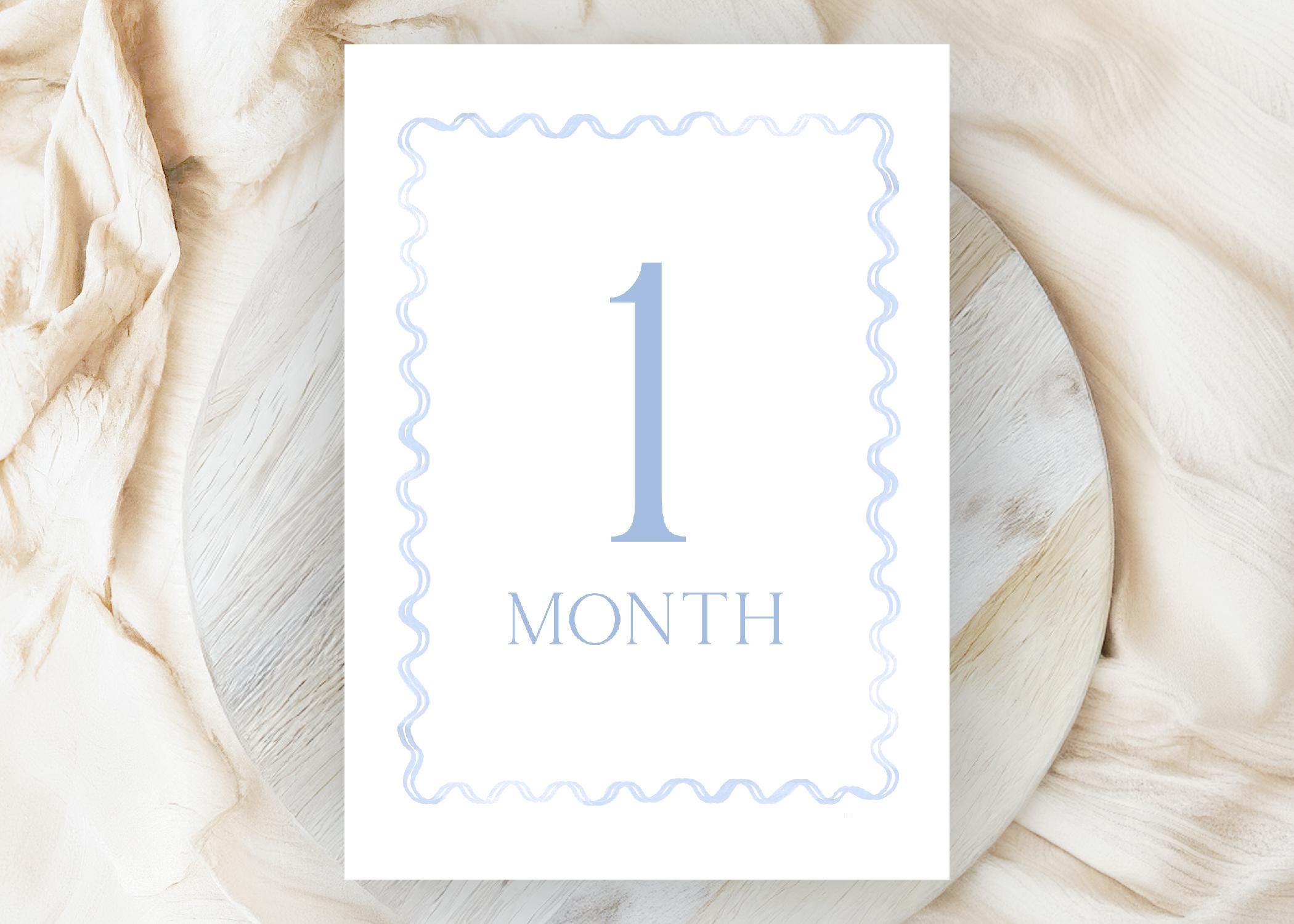 Blue Monthly Milestone Cards, Southern Baby Boy Watercolor Monthly ...