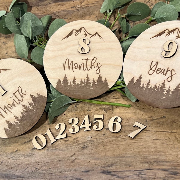 Forest Baby Monthly Milestone, Boy Monthly Photo Sign, Woodland Milestone Discs, Mountain Baby Photo Props, Deer Milestones, Bear Milestone