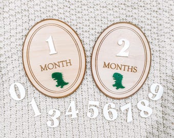 Dinosaur Monthly Milestone Markers, Monthly Photo Sign, Dino Milestone Marker, Baby Shower Gift, Baby Photo Props, Dinosaur baby gift