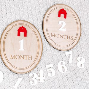Farm Monthly Milestone Markers, Monthly Photo Sign, Barn Yard Milestone Discs, Baby Shower Gift, Baby Photo Props, Farm monthly Photos