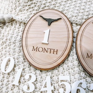 Cow Monthly Milestone Markers, Boy Monthly Photo Sign, Western Milestone Discs, Baby Shower Gift, Baby Photo Props, Bull monthly Photos