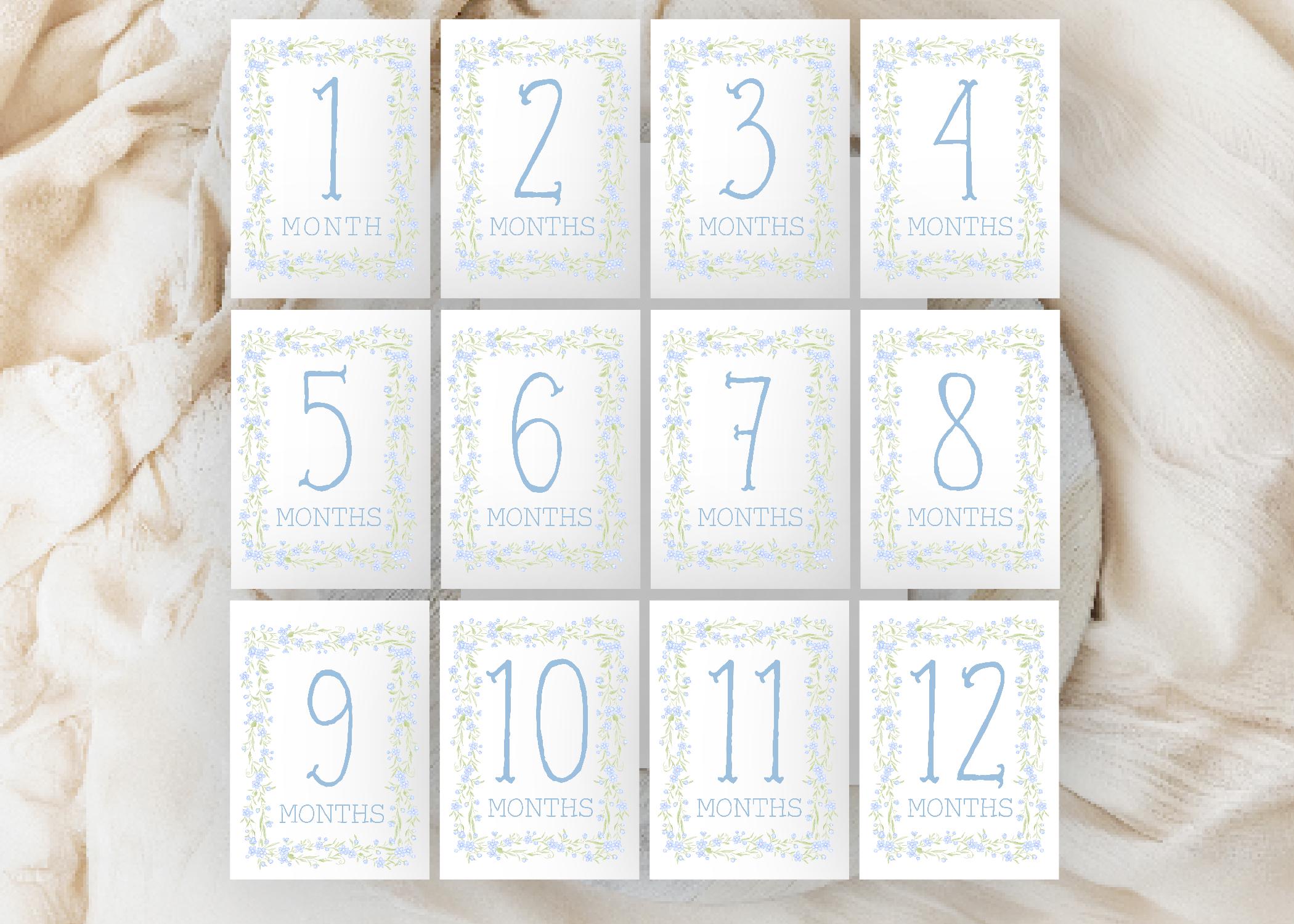 Blue Monthly Milestone Cards, Southern Baby Boy Watercolor Monthly ...