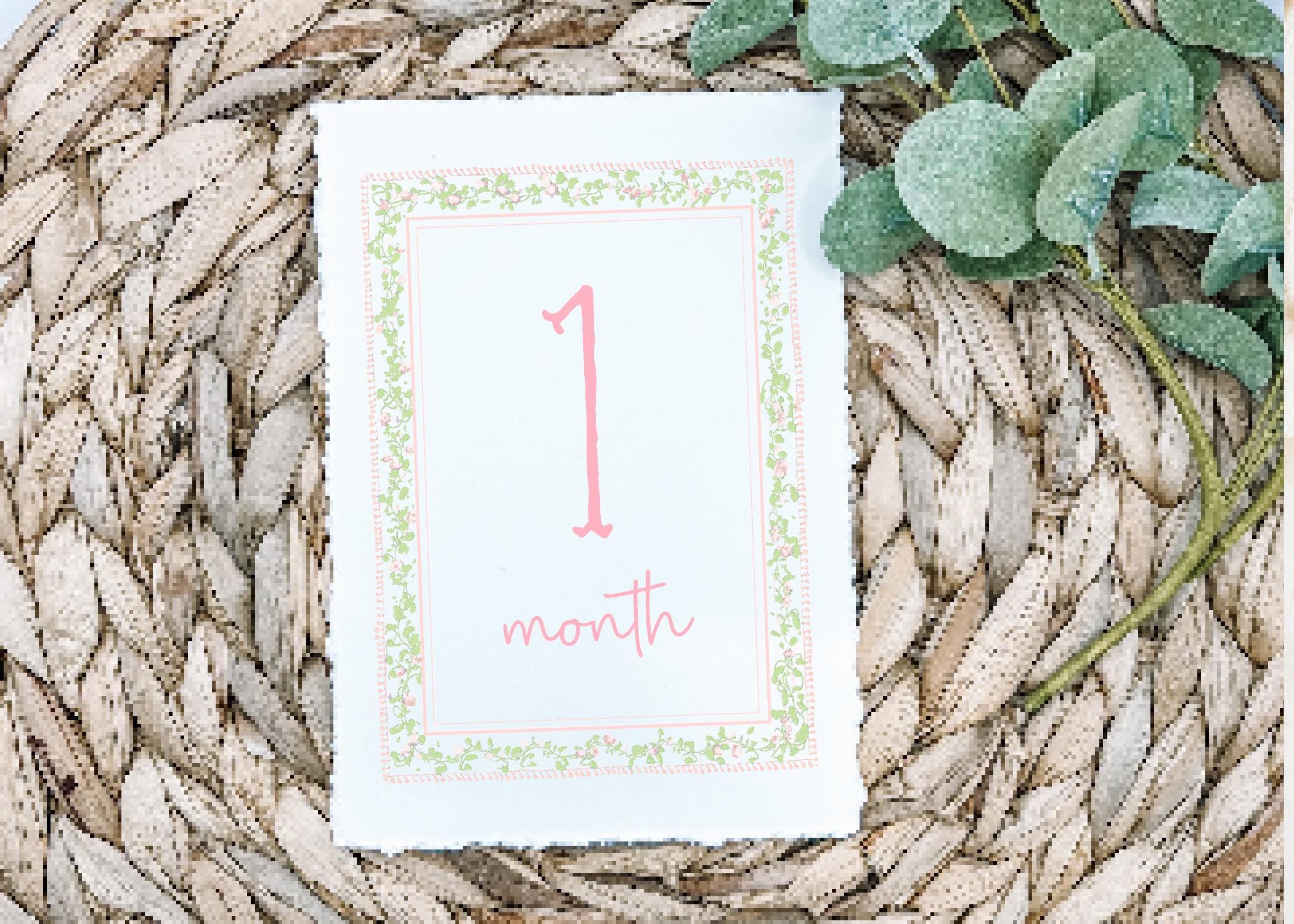 Girl Monthly Milestone Cards, Baby Girl Watercolor Flower Monthly ...
