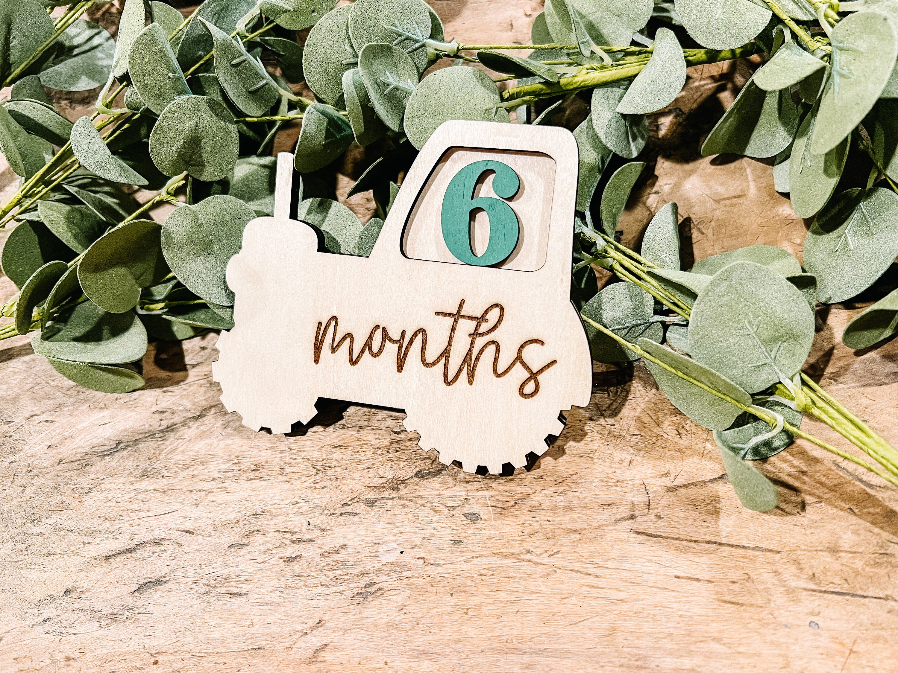 Tractor Baby Monthly Milestone Marker, Boy Monthly Photo Sign, Milestone Discs, Baby Shower Gift, Baby Photo Props, Boy First Year Photos