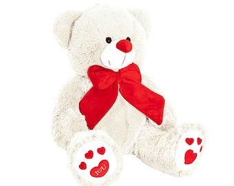 Großer Teddybär Plüsch, Valentinstagsbär, Geschenk für sie