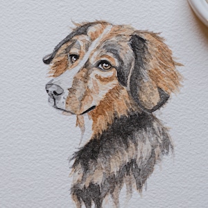 Custom Detailed Mini Watercolor Pet Portraits Face image 1