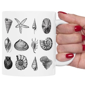 Nautical Mug, Marine Life, Sea Life Coffee Mug for Marine Biologists, Oceanography Students, and Nautical Enthusiasts, Underwater Shell