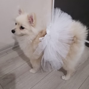 Hund Tutu, Halloween Hund Tutu, Hund Brithday, Hund Hochzeit Tutu