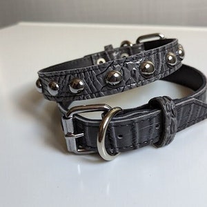 May include: Two gray leather dog collars with silver studs. The top collar has a silver buckle and the bottom collar has a silver D-ring.
