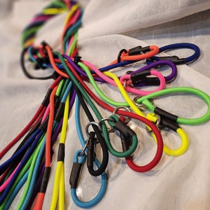 Op de afbeelding: Een verzameling kleurrijke hondenriemen in verschillende tinten, waaronder rood, blauw, groen en geel. Elke riem heeft een lus handvat en een metalen clip voor veilige bevestiging. De riemen zijn gemaakt van duurzaam touwmateriaal.
