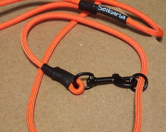 Convertible Slip lead leash
