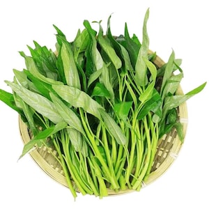 5 lbs. Hạt Rau Muống; Kong Xin Cai, New Seeds.