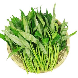 4oz + . Hạt Rau Muống; Water Spinach seeds; Kong Xin Cai, New Seeds.