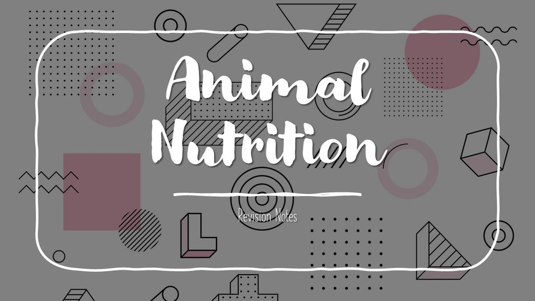 Animal visual data 7