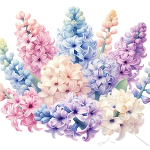 Clipart floral, clipart floral printanier, fleurs de jacinthe - Aquarelle de fleurs PNG - fleurs de printemps - lot de 25, transparent