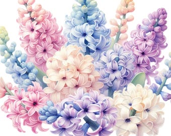Watercolor Hyacinth Clipart: Spring Floral PNG Set (25)