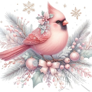 Clipart di Natale, Clipart PNG di uccello cardinale, Clipart di festa, Set di 19 trasparenti