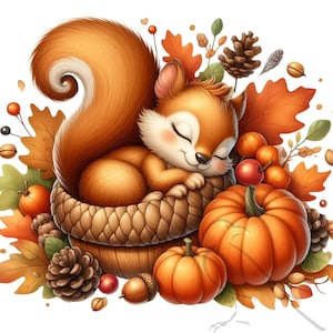 Squirrels Clipart Bundle - 18 PNG Woodland Creature Graphics, Instant Digital Download, Commercial Use