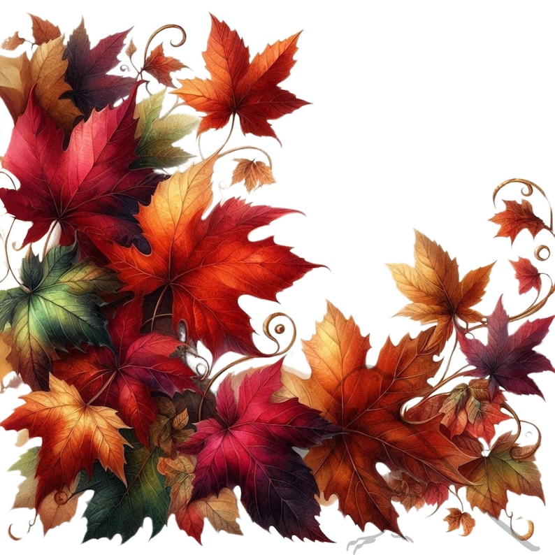 Fall Leaves Clipart Set, Autumn PNG Images (digital Download) - Etsy