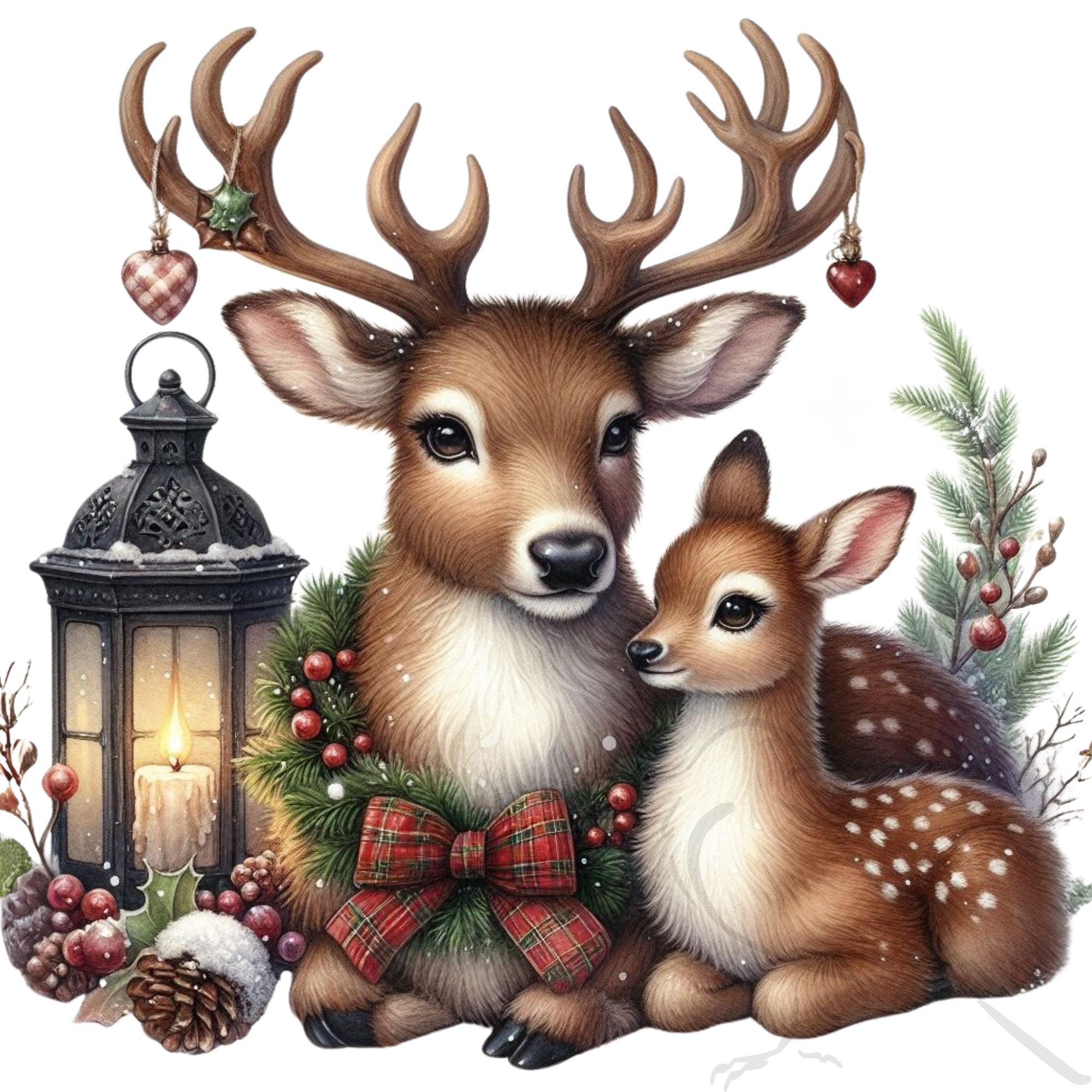 Christmas Reindeer Clipart: Watercolor PNG Illustrations (commercial ...