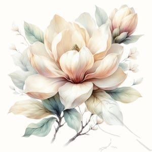 Clipart Magnolia PNG, Magnolia grandiflora | Graphiques floraux élégants | Ensemble de 20 éléments d'art et de conception imprimables transparents pour la création