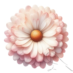 Clipart floreali, margherite, set di fiori ad acquerello in formato PNG - 30 disegni floreali pastello, sfondi trasparenti per progetti di artigianato e fai da te
