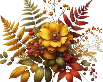 Autumn Clipart: 16 Fall PNG Images for Commercial Use