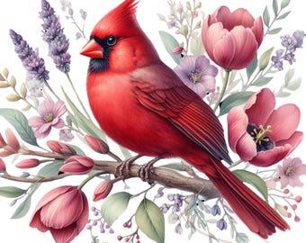Red Cardinal Bird Clipart: Floral Accent PNG Set (Digital Download)