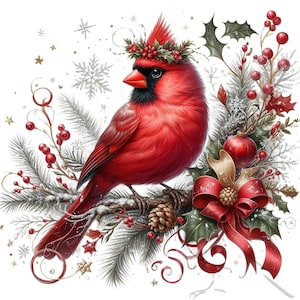 Ensemble de 12 cliparts Noël, cardinal oiseau PNG, clipart vacances, lot de 12 transparents