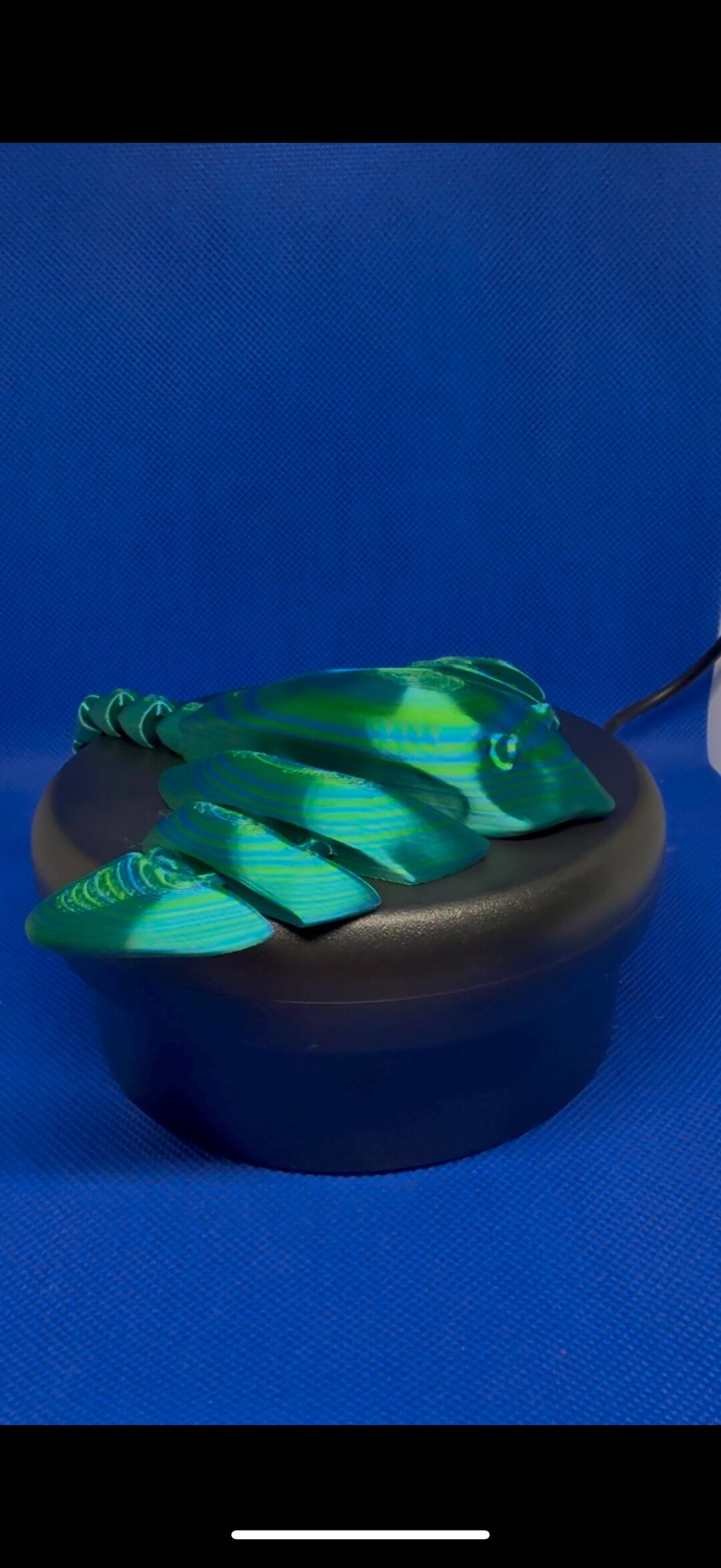 Ray Fidget Sting Ray Fidget Toy - Etsy