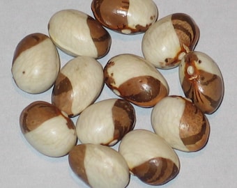 Vulkan - Pole Dry Bean