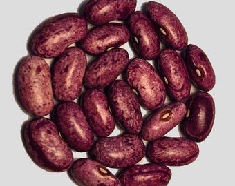 Ntingi - Pole Dry Bean