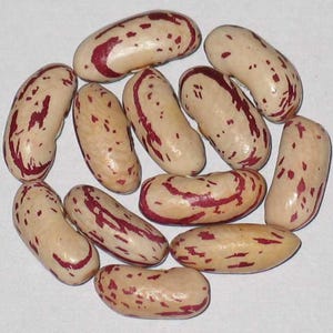 Peut inclure: Une collection de 10 haricots avec une base blanc crème et des stries rouges. Les haricots sont disposés en cercle sur une surface blanche.