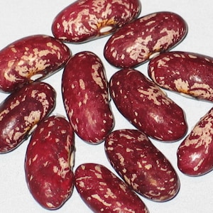 May include: A collection of red and white speckled beans. The beans are kidney shaped and have a mottled appearance.