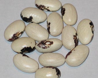 Mascarade De Briel Roya - Pole Dry Bean