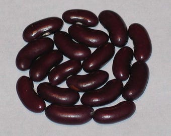 Climbing French - Pole bean