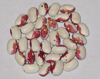 May include: A collection of white beans with red speckles, arranged in a circle on a white surface.