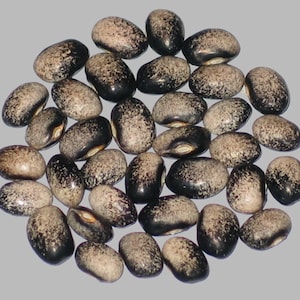 Peut inclure: Une collection de haricots noirs avec des taches blanches. Les haricots sont disposés en cercle sur un fond gris.