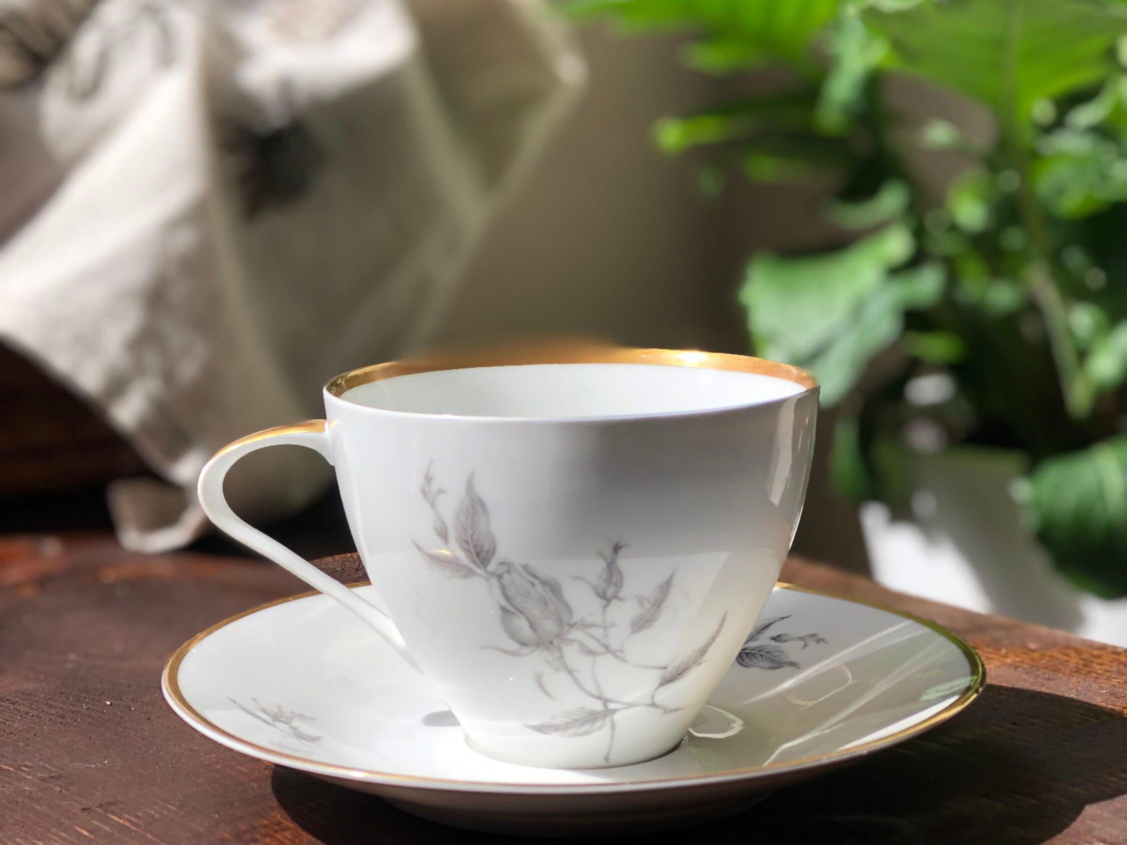 超希少❣️アンティーク チェコスロバキア ピルケンハンマー プレート&カップセット 超希少❣️アンティーク チェコスロバキア ピルケンハンマー プレート