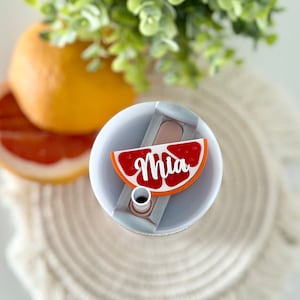 Tumbler Name Tag Grapefruit Custom Cup Name Plate Tropical Tumbler Lid Accessory Summer Tumbler Straw Topper Fruit Lid Name Tag Straw Cover
