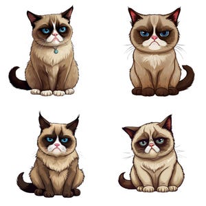 Grumpy Cat PNG Bundle - 12 High-resolution 300 DPI Transparent ...