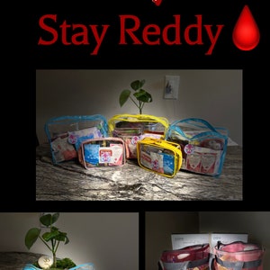 StayReddy