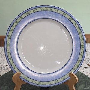 May include: A round ceramic plate with a plain white center. The rim features a wide, mottled blue band bordered by a thin, light green edge decorated with a repeating pattern of small, dark green vine-like leaves and tiny circular buds.