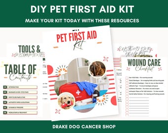DIY Pet First Aid Kit Guide: Customizable Emergency Essentials for Dogs & Cats on the Go