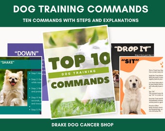 Comprehensive Step-by-Step Dog Training Guide: 10 Essential Commands PDF for Obedient Canines